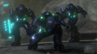A trio of Special Operations Sangheili in Halo 3.