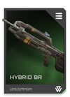 REQ Loadout Weapon BR Hybrid.jpg