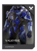 REQ Card - Armor Valkyrie.png