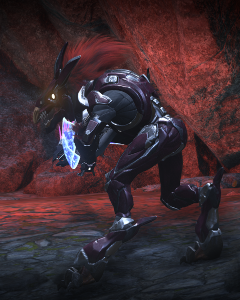 File:HINF Writhview2.png