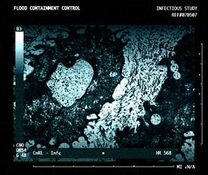 A microscopic image of Flood Super Cell used in Iris Server One.