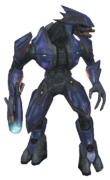 Sangheili Minor - Halopedia, the Halo wiki