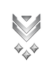 Multiplayer career rank insignia for Halo Infinite.