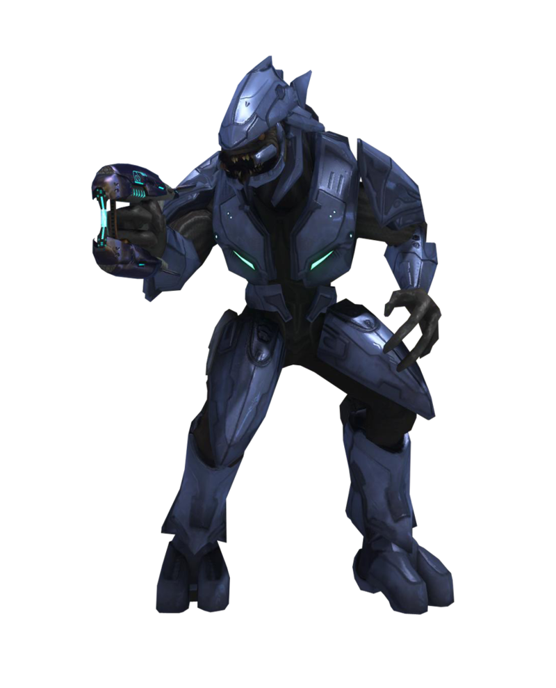 File:sangheili Minor 01.png - Halopedia, The Halo Wiki