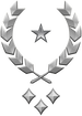 Multiplayer career rank insignia for Halo Infinite.