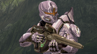A Deadeye-clad Spartan with Mosa-pattern carbine.