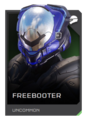 H5G REQ Helmets Freebooter Uncommon.png