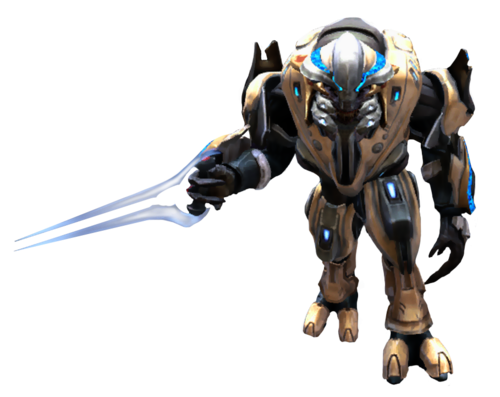 Sangheili Zealot - Halopedia, The Halo Wiki