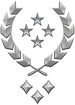 Multiplayer career rank insignia for Halo Infinite.