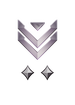 Multiplayer career rank insignia for Halo Infinite.