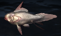 The fish on Installation 07 in Halo Infinite.
