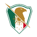 Icon for the S2 Latam emblem.