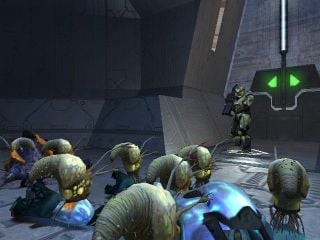 Pod infector - Species - Halopedia, the Halo wiki