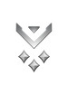 Multiplayer career rank insignia for Halo Infinite.