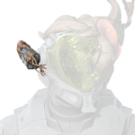 Command Network Module - Halopedia, the Halo wiki
