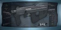 A profile of the SMG