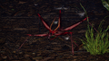 Thumbnail for version as of 20:11, July 31, 2026