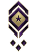 Multiplayer career rank insignia for Halo Infinite.
