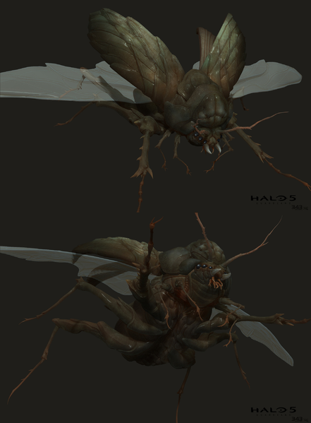 File:H5G-ConceptArt-Beetle2.png