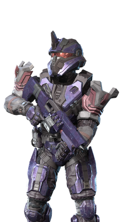 Conqueror image for the shop