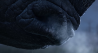 Detailed view of a Kaimistro nostril in the Halo Infinite's announcement trailer.[2]