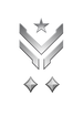 Multiplayer career rank insignia for Halo Infinite.