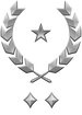 Multiplayer career rank insignia for Halo Infinite.