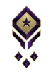 Multiplayer career rank insignia for Halo Infinite.