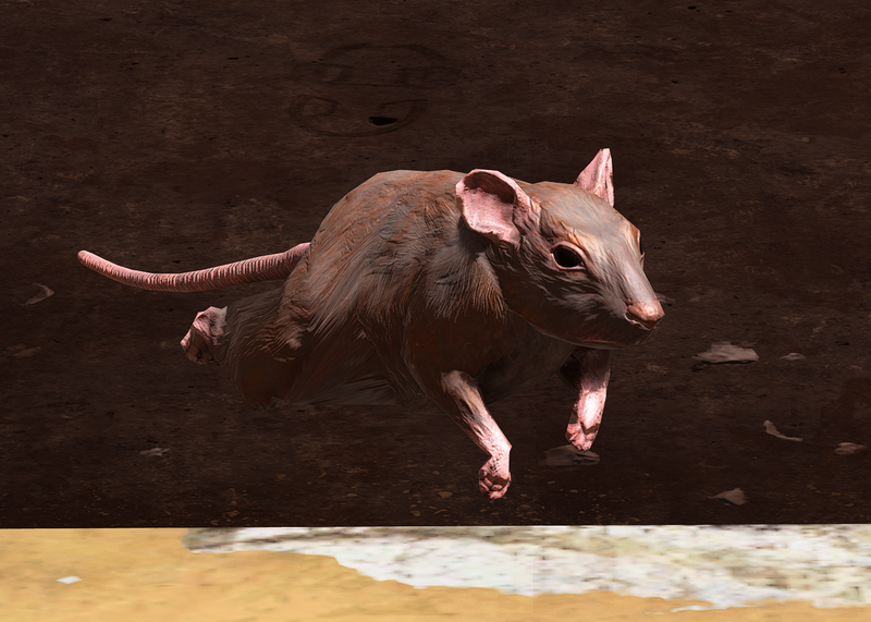File:HINF Rat.png