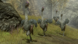 A group of moa fleeing from danger.