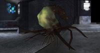 A Pod infector in Halo 2.