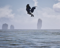 Thumbnail for version as of 01:11, August 13, 2026