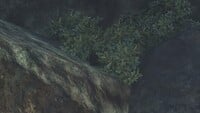 The "Lone Caveman" a the cliff face