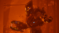 'Zamamee prepares for battle.