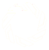 Icon image of Meyer e.V.'s logo, used in Halo Infinite.