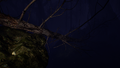 Thumbnail for version as of 16:14, August 15, 2026