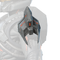 Icon for the Sundered Augmentor shoulder pad.