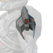 Icon for the Sundered Augmentor shoulder pad.