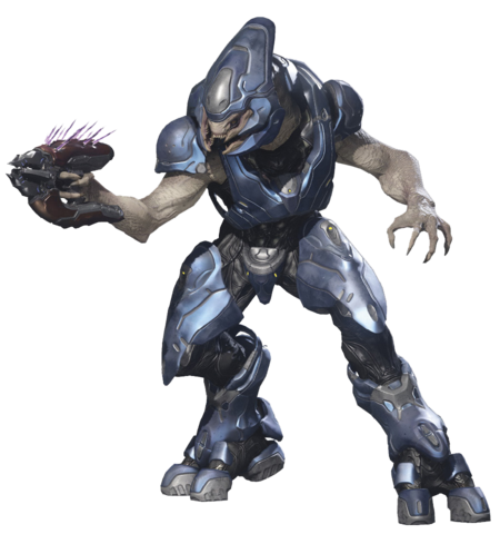 Sangheili Storm - Halopedia, The Halo Wiki