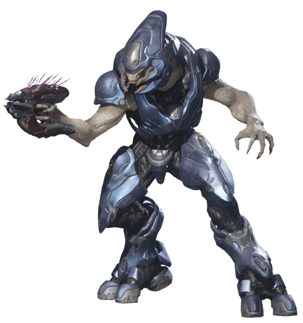 Sangheili Storm - Halopedia, the Halo wiki