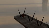 Dead rat impaled on a bird control spike