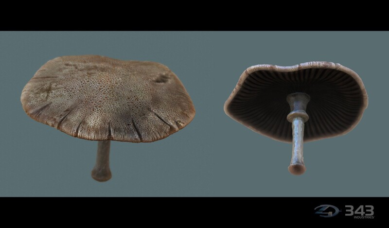 File:H4-SkyKensok RequiemFungi6.jpg