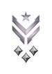 Multiplayer career rank insignia for Halo Infinite.