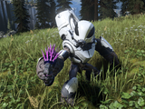 A Banished Unggoy Ultra During the Battle for Zeta Halo in Halo Infinite.