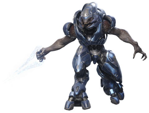 Sangheili - Species - Halopedia, The Halo Wiki