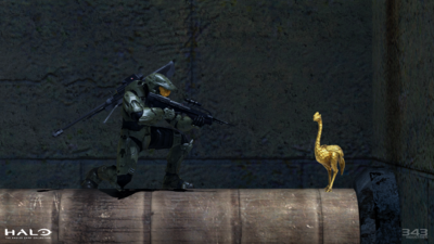 Master Chief looking at a Golden Moa.