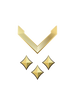 Multiplayer career rank insignia for Halo Infinite.