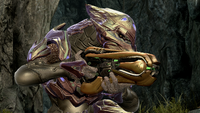 A Sangheili Zealot with a concussion rifle in Halo 4.