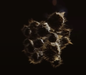 A screenshot of a Flood spore inside High Charity during the final cutscene.