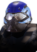 REQ icon for the Valkyrie armor.